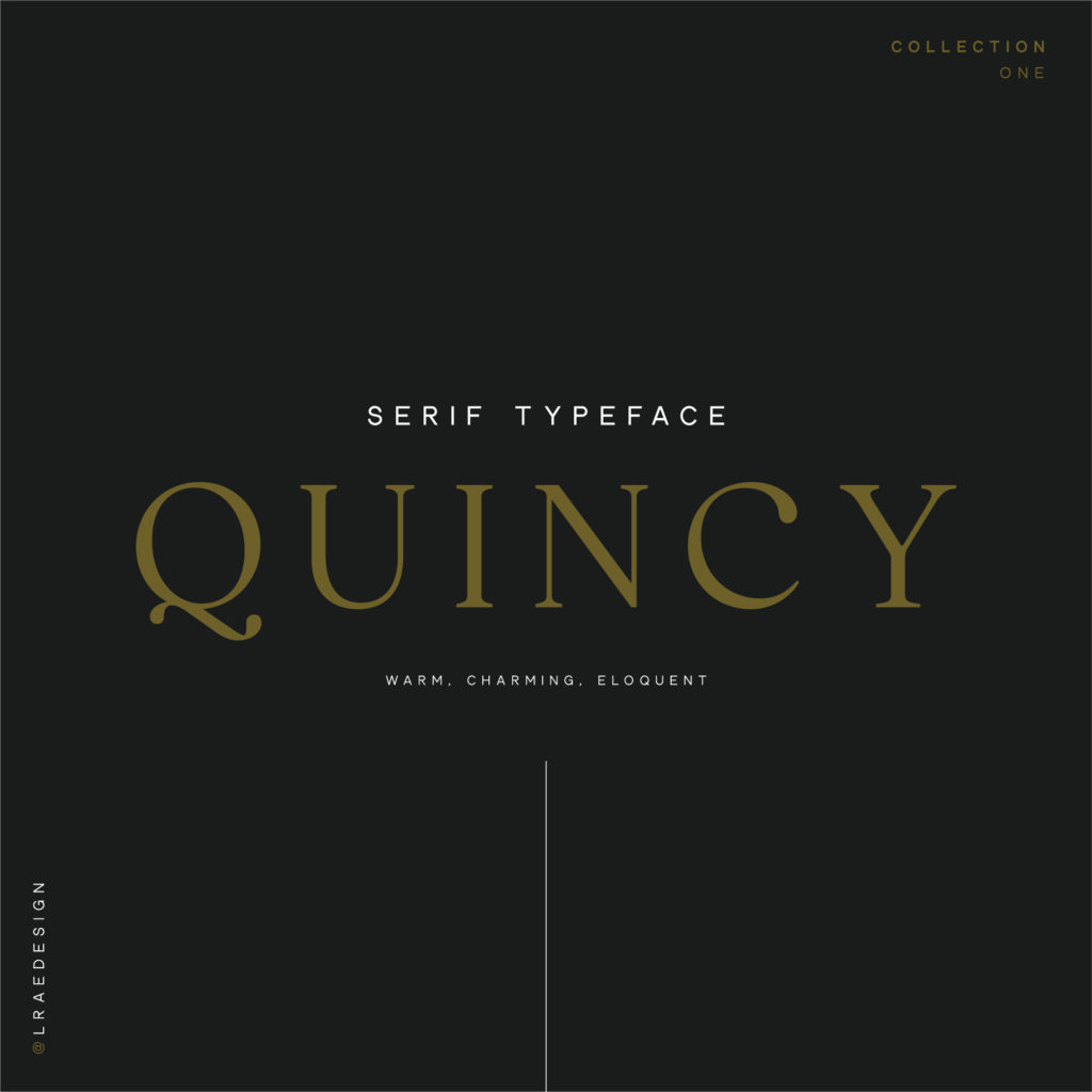 Quincy Typeface | Serif Typeface by Connary Fagen, Inc. Top L. Rae Design serif font pick
