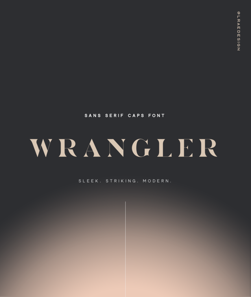 Wrangler Sans Serif Caps Font by New Tropical Design